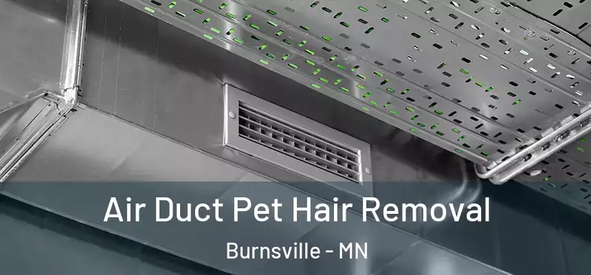  Air Duct Pet Hair Removal Burnsville - MN