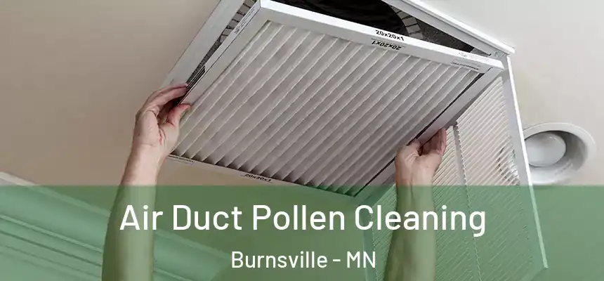  Air Duct Pollen Cleaning Burnsville - MN