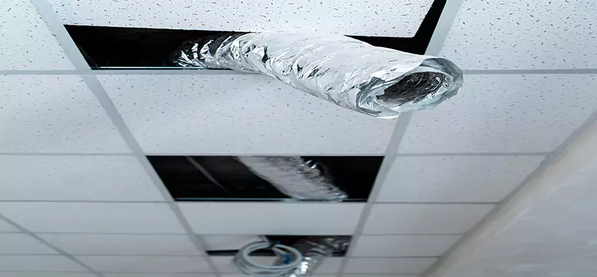 Our Air Duct Pet Hair Removal Services in Burnsville, MN