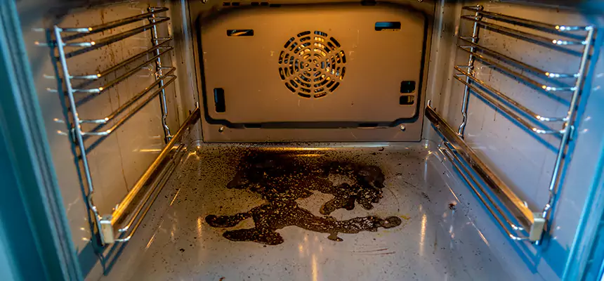 Our Dryer Vent Mold Cleaning Services in Burnsville, MN