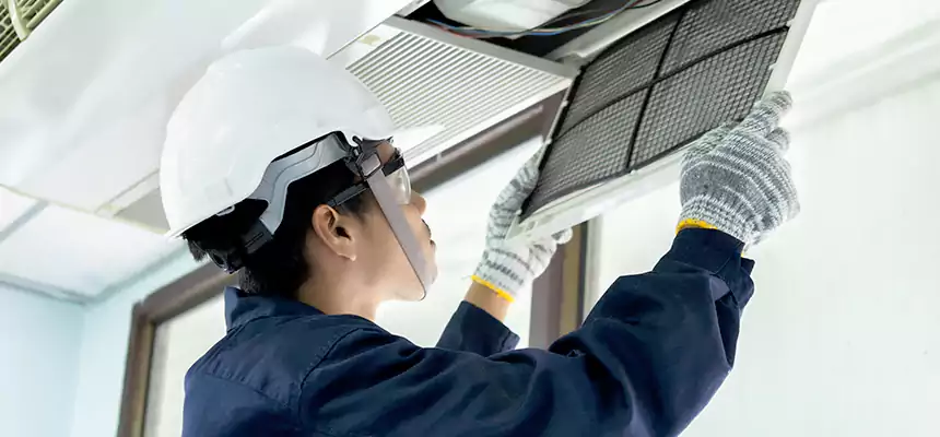 Our Mold & Mildew Removal from Air Ducts Services in Burnsville, MN