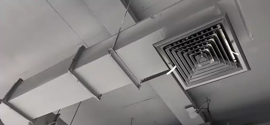 Our Pest Removal From Ducts Services in Burnsville, MN