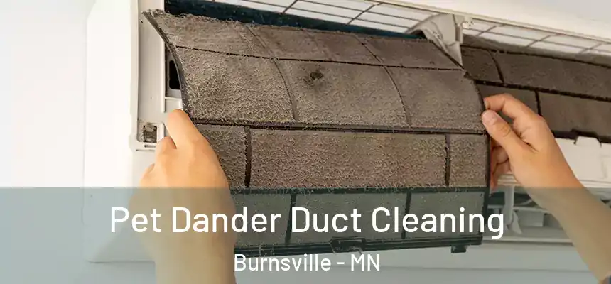  Pet Dander Duct Cleaning Burnsville - MN