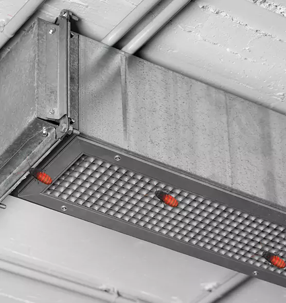 About Air Duct Cockroach Removal in Burnsville, MN
