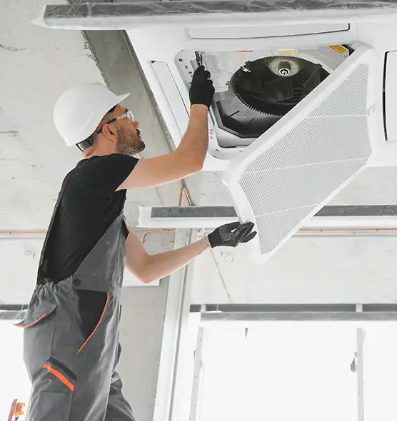 About Air Duct Rodent Removal in Burnsville, MN