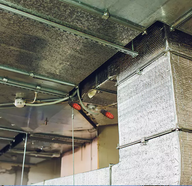 Why Homeowners & Businesses Trust Us in Burnsville, MN?