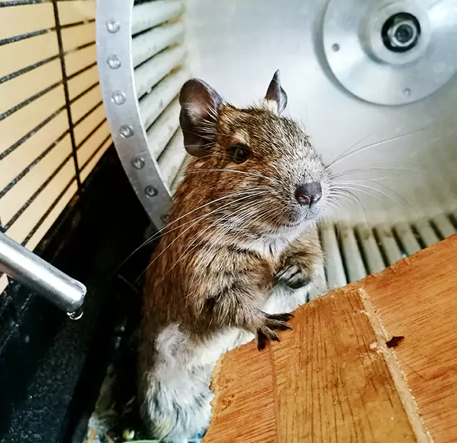 Why Homeowners & Businesses Trust Us Burnsville, MN?