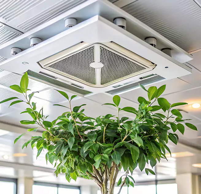 Why Homeowners & Businesses Trust Us in Burnsville, MN?